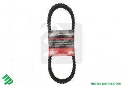 CINGHIA GATES RZR 50R4289  (2)